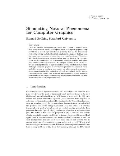 Simulating natural phenomena for computer graphics