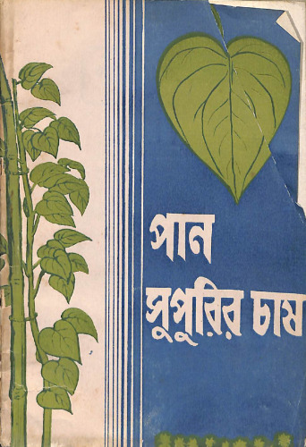 পান সুপুরির চাষ