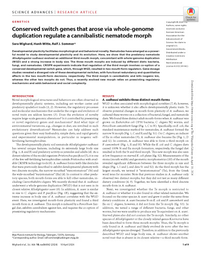 Conserved switch genes that arose via whole-genome duplication regulate a cannibalistic nematode morph