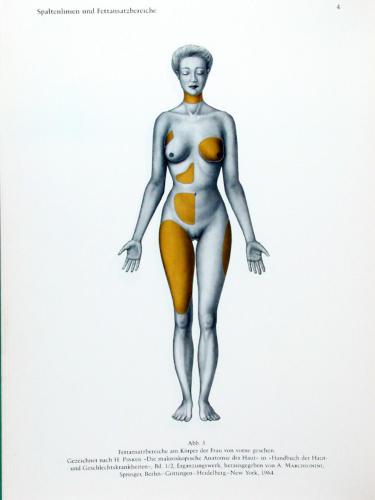 Topographische Anatomie des Menschen. Lehrbuch und Atlas der regionär-stratigraphischen Präparation