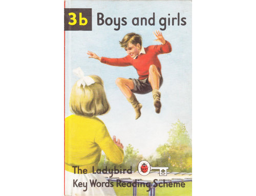 The Ladybird Key Words Reading Scheme Book 3b - Boys and Girls