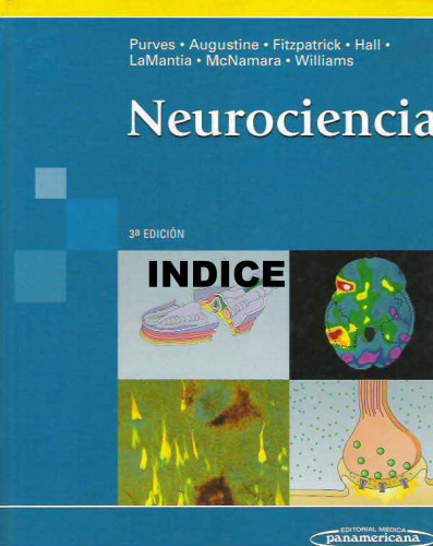 Purves - Neurociencia