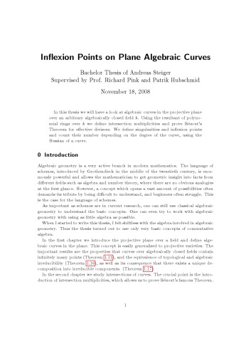 Inflexion Points on Plane Algebraic Curves [Bachelor thesis]