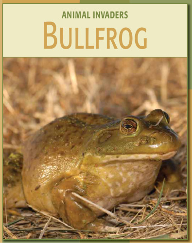 Bullfrog