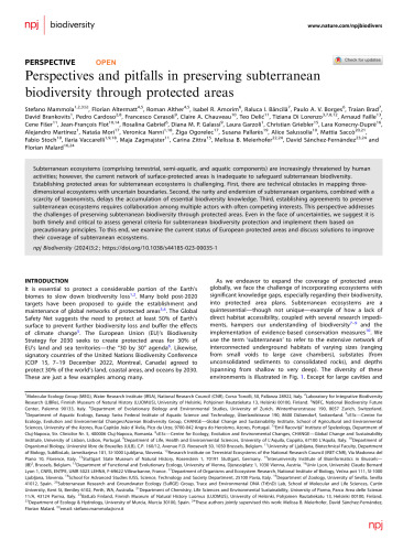 Perspectives and pitfalls in preserving subterranean biodiversity through protected areas