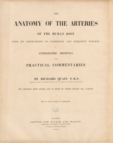 Anatomy of the arteries of the human body