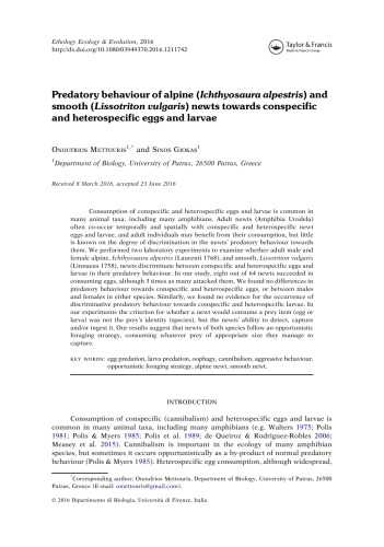 Predatory behaviour of alpine (Ichthyosaura alpestris) and smooth (Lissotriton vulgaris) newts towards conspecific and heterospecific eggs and larvae