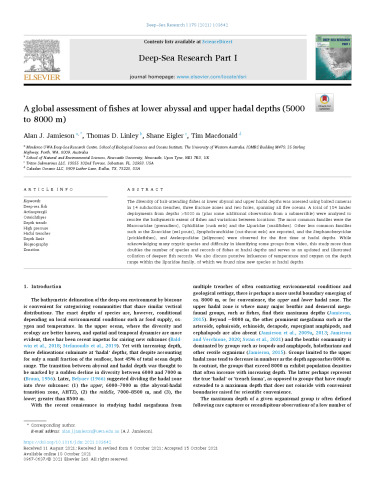 A global assessment of fishes at lower abyssal and upper hadal depth