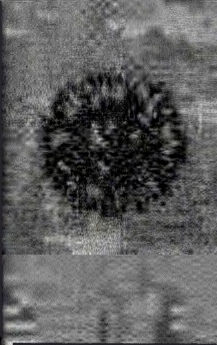 Lux Haeresis