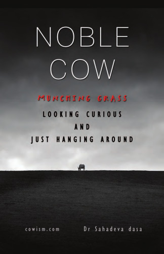 Noble Cow - Munching Grass, Looking Curious and Just Hanging Around