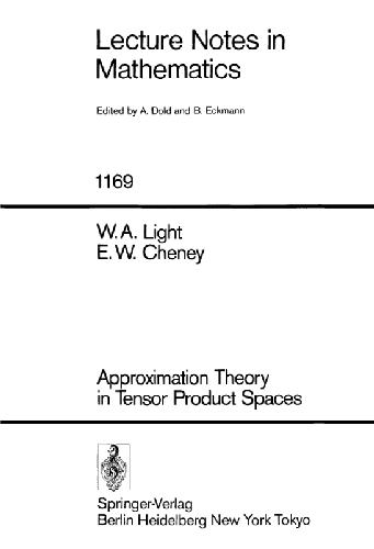 Approximation Theory in Tensor Product Spaces