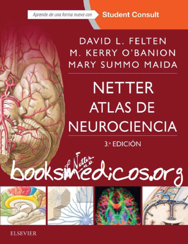 Netter - Atlas de Neurociencia