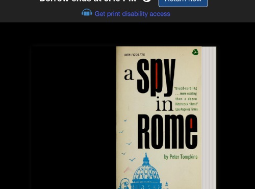A Spy in Rome