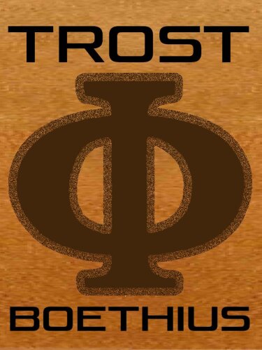 Trost der Philosophie