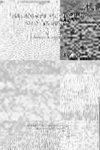 The Lingusitic Theories of N. Ja. Marr