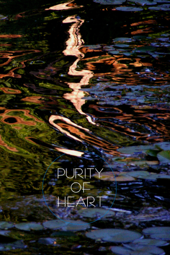 Purity of Heart: Essays on the Buddhist Path