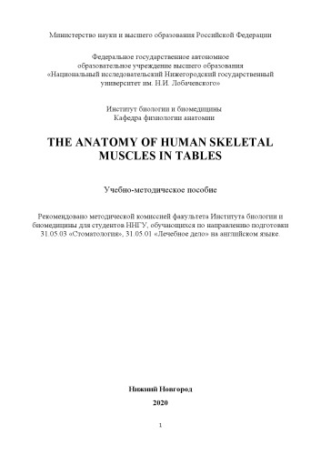 The anatomy of human skeletal muscles in tables: Учебно-методическое пособие
