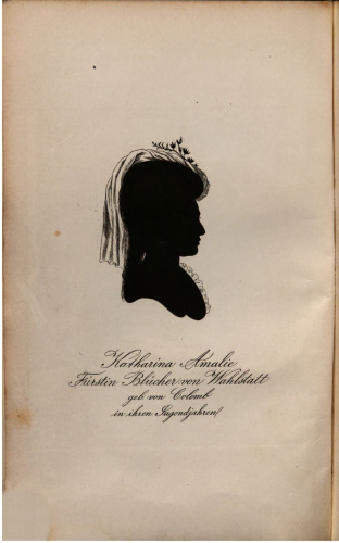 Blücher in Briefen aus den Feldzügen von 1813-1815