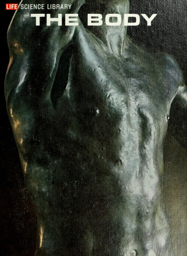 The Body