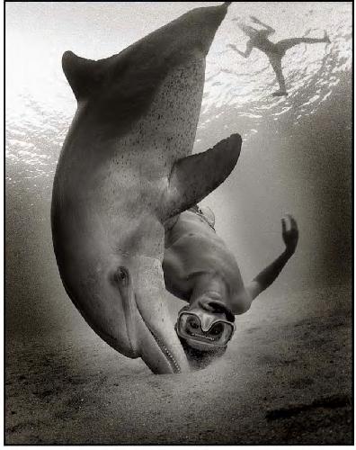 Underwater Photography (April/May 2003)