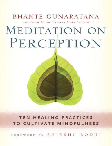 Meditation on Perception