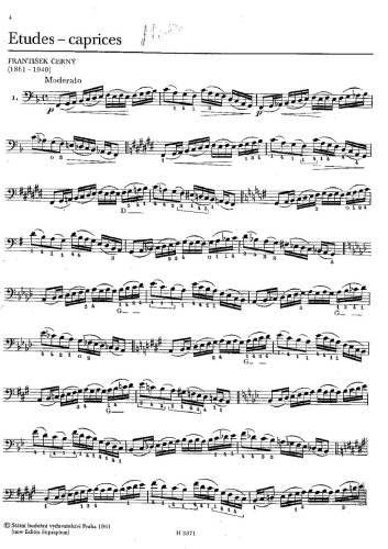 Etudes-caprices