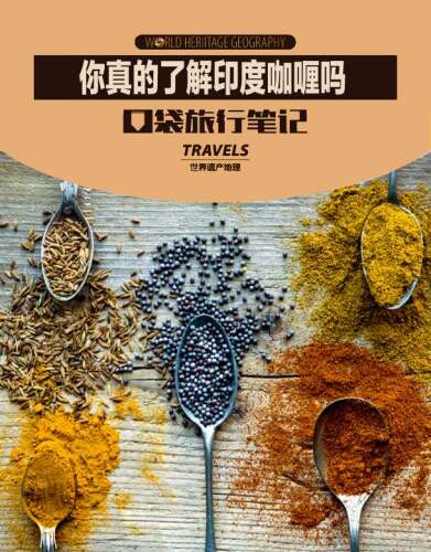 你真的了解印度咖喱吗 ( Travels: About Indian Curry)