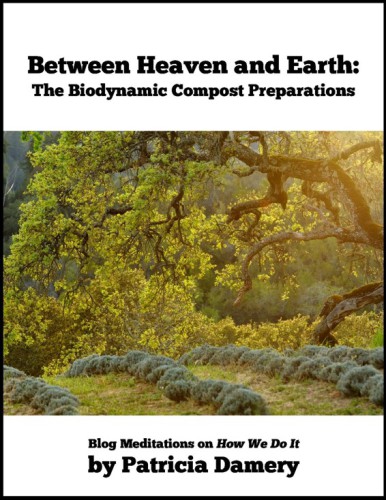 Between Heaven and Earth