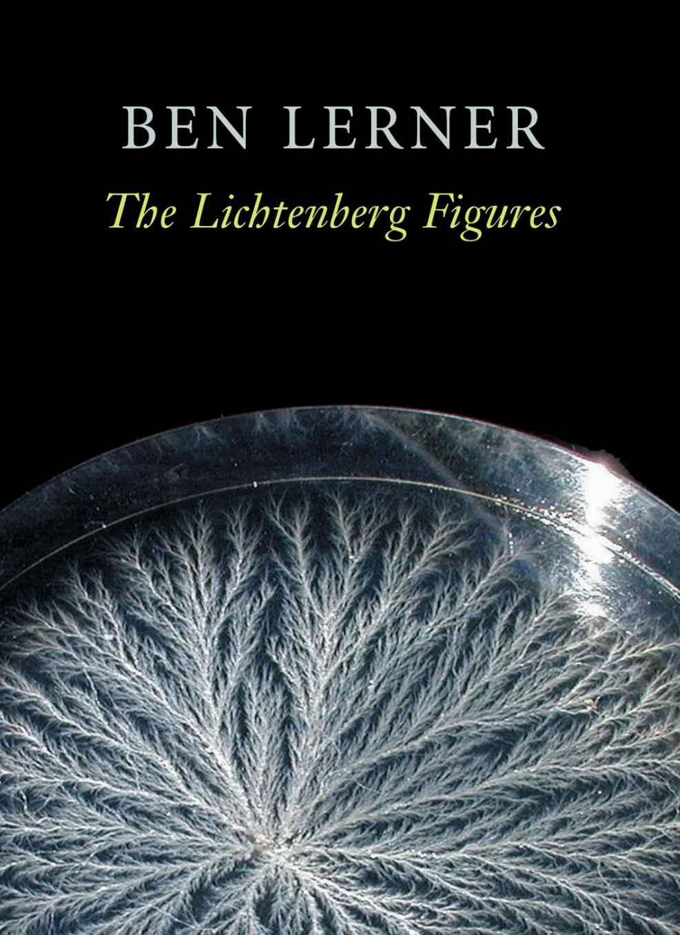 The Lichtenberg Figures
