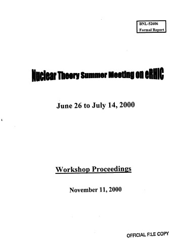Nuclear Theory Summer Meeting on eHRIC [wkshop procs]