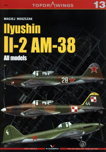 Ilyushin Il-2 AM-38: All models