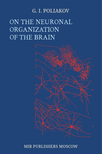 On The Neuronal Organization of The Brain