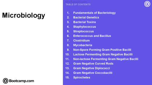 Microbiology Bootcamp.com