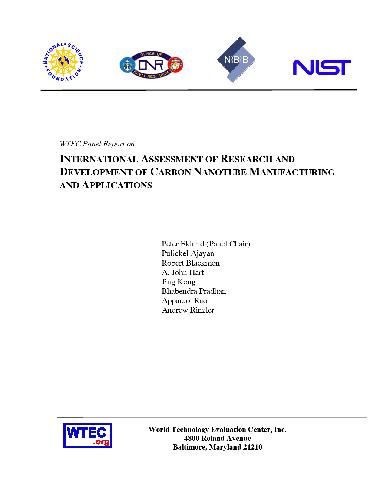 International Assessment of Research and Development on Carbon Nanotubes: Manufacturing and Applications