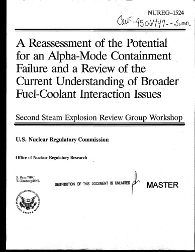 Alpha-Mode Containment Failure, Fuel-Coolant Interaction Issues