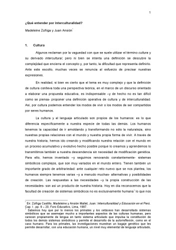 ¿Qué entender por interculturalidad?