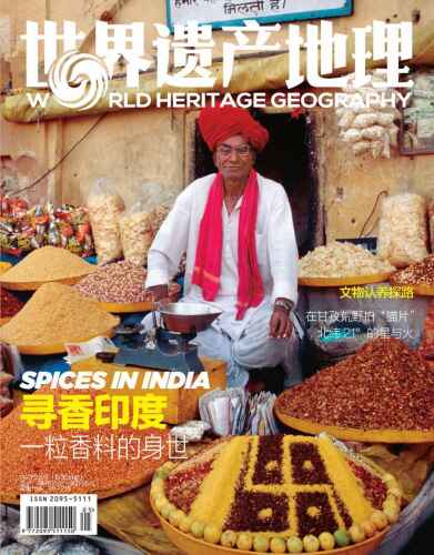 寻香印度：一粒香料的身世 世界遗产地理第30期 ( No 30): Spices in India