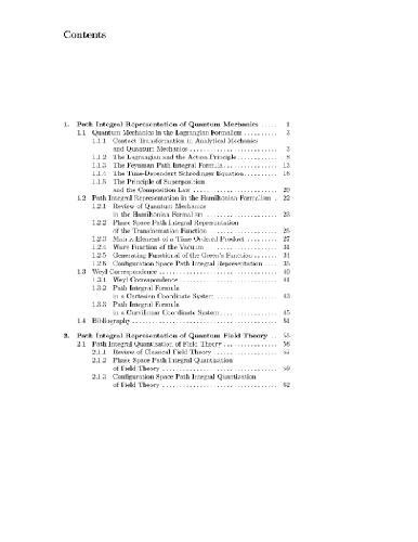 Path integral quantization and stochastic quantization