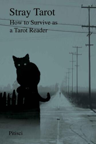 Stray Tarot: How to Survive as a Tarot Reader