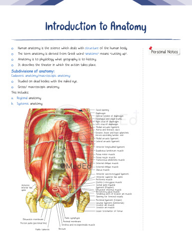Physics Wallah MedEd Notes Anatomy