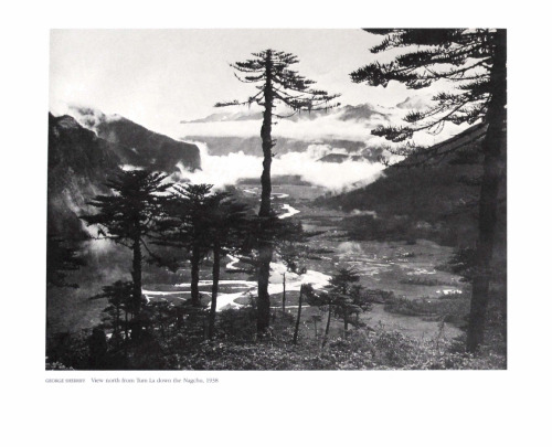 Tibet the Sacred Realm: Photographs 1880-1950