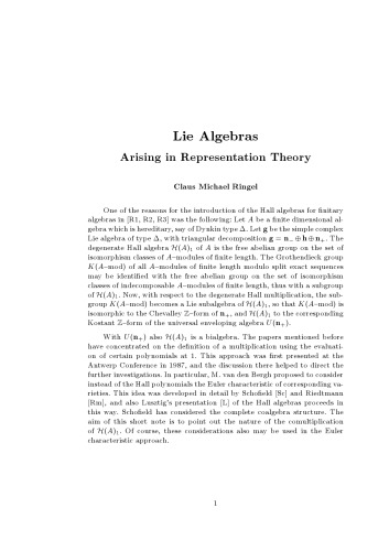 Lie Algebras Arising in Representation Theory