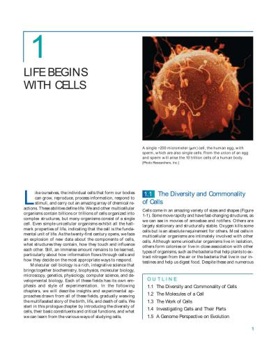 Molecular cell biology