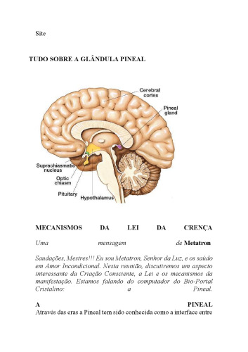 Tudo sobre a glândula pineal: mecanismos da lei da crença
