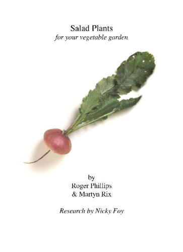 Salad plants for your vegetable garden