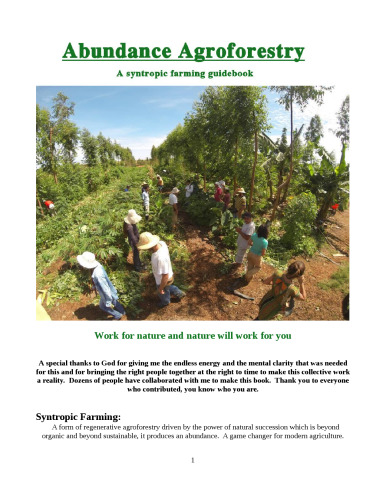 Abundance Agroforestry