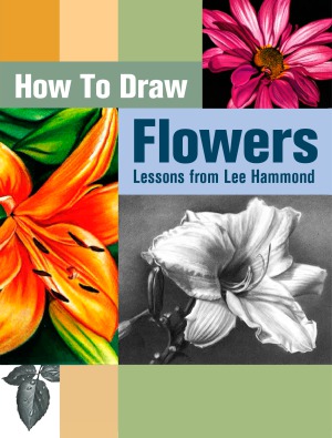 How to draw flowers lessons from Lee Hammond