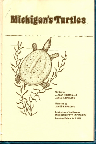 Michigan's Turtles
