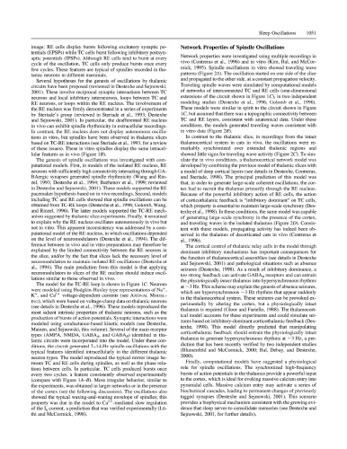 Handbook Of Brain Theory And Neural Networks