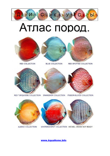 Дискуссы. Атлас пород.